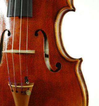 Very Fine Italian Violin By Mario Capriani C.  1996 4/4 Old Antique Violino photo