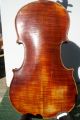 Chevrier De Paris Violin 1830 Good Condition String photo 3