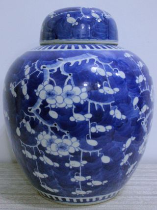 Chinese Porcelain Large Prunus Vase Lidded Gin Jar 19th C Kangxi Period Mark 12 