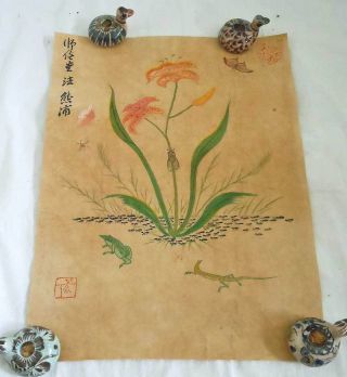 Antique Chinese Watercolor Painting Flowers Ant Bug Lizard Frog Butterfly Signed photo