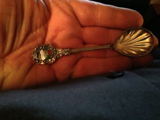Antique Vintage Miniature Barenhohle Enameled.  100 Silver Spoon photo