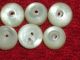 Lot Set 6 Antique Diminutive Dimi Mother Pearl Whistle Buttons 3/8 