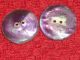 2 Antique Purple Dyed Mother Pearl Incised Carved Floral Button 5/8 