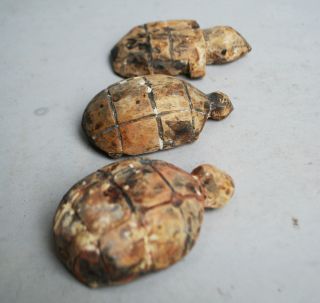 Three Delightful Small Adan Tribe Wood Tortoise Nature Spirits photo