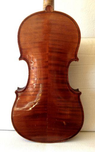 Fine Old Antique 4/4 Markneukirch German Violin W/ Italian Carlo Micelli Label photo