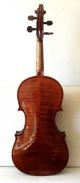 Fine Old Antique 4/4 Markneukirch German Violin W/ Italian Carlo Micelli Label String photo 3
