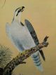 Antique Scroll Of Asian Painting And Calligraphy - Eagle With Poem (translated) Unknown photo 2