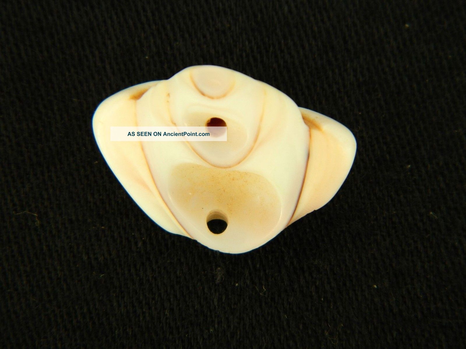Ancient Marine Shell Bead - 200 Years Old - Sahara Jewelry photo