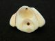 Ancient Marine Shell Bead - 200 Years Old - Sahara Jewelry photo 1