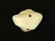 Ancient Marine Shell Bead - 200 Years Old - Sahara Jewelry photo 4