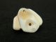Ancient Marine Shell Bead - 200 Years Old - Sahara Jewelry photo 5