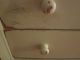 Old Doll Dresser With Two Drawers And Mirror.  Color Is Beige. Primitives photo 2