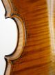 Antique 19th Century Saxon Violin - - String photo 10