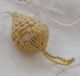 Antique Victorian Strawberry Miniature Yellow Sewing Pin Cushion Emery Tool Old Pin Cushions photo 1