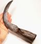 Antique - Medieval Iron Billhook By Warriors To Hock Horses Ca 1000 - 1300 Ad Primitives photo 2