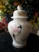 Vintage Japan Fine China Ginger Jar Urn Vase Gladiolus Flowers Butterflies Decor Urns photo 2
