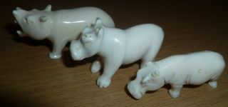 Good Faux Ivory Trio Of Animals Beautifully Carved Natural Grain Circa 1900 photo
