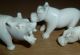 Good Faux Ivory Trio Of Animals Beautifully Carved Natural Grain Circa 1900 Other photo 2