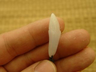 100% Natural A Jade Jadeite Pendant Lavender Corn Corncob Leaf 170558 photo