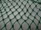 2 Feet X 5 Feet Green Poly/nylon Shrimp Fishing Net (n54) Fishing Nets & Floats photo 1