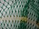 2 Feet 0 Inches X 7 Feet 0 Inches Green Poly/nylon Shrimp Fishing Net (n83) Fishing Nets & Floats photo 2