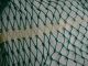 2 Feet 0 Inches X 7 Feet 0 Inches Green Poly/nylon Shrimp Fishing Net (n83) Fishing Nets & Floats photo 3