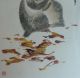Excellent Chinese Mounted Painting Of Monkey By Zhao Shaoang Paintings & Scrolls photo 4