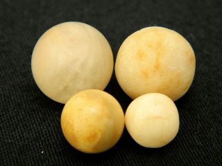 4 Neolithic Neolithique Stone Funeral Balls - 6500 To 2000 Before Present - Sahara photo