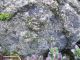 19th Century Daikoku Granite Stone Water Basin Other photo 6