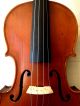 Early 1900s Old Antique German Violin W/ Gorgeous Back - Ships In Vintage Case String photo 5