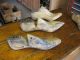 9 Vintage Shoe Lasts Childrens,  Ladies High Heel Hiland Pire Porter Vulcan Primitives photo 2