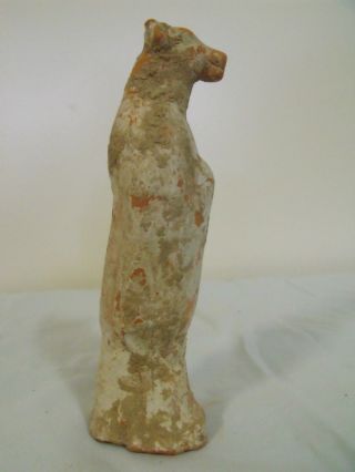 Very Rare Ancient Chinese Human - Cow Tang Dynasty Zodiac Figure,  900 Ad,  6 3/8 