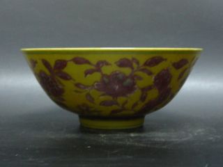 China ' S Ming Dynasty Elegant Yellow Glaze Youligong Bowl photo