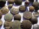 Collection Of Rare Early Buttons /medieval/military/fancy,  Victorian X 63 British photo 3