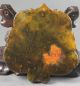 Old Chinese Hetian Jade Hand - Carved Double Dragon Design Pendant 3.  0 Inch Dragons photo 5