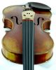 Great Italian Violin Labeled Gustavo Belli C.  2001 4/4 Old Antique Model.  Violino String photo 6