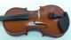 Excellent Alfred Stingl As - 060 - V 4/4 Violin By Hofner W/case String photo 1