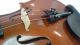 Excellent Alfred Stingl As - 060 - V 4/4 Violin By Hofner W/case String photo 3
