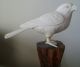 An Antique Oriental Finely Carved Faux Ivory Figure Of A Bird On Wooden Stand Ornaments photo 1