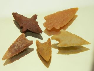 5 Neolithic Neolithique Stone Arrowheads - 6500 To 2000 Before Present - Sahara photo