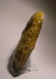 Fantastic Neolithic Thin - Butted Axe 18,  5 Cm Neolithic & Paleolithic photo 7