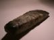 Top Danish Neolithic Axe With Concave Edge Neolithic & Paleolithic photo 7