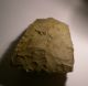 Top Neolithic Danish Thin - Butted Axe 17 Cm Neolithic & Paleolithic photo 8