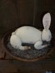 Primitive Antique White Easter Back Porch Bunny Rabbit Doll W/ Rusty Bell & Tag Primitives photo 5