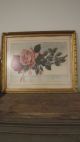 C 1910 Signed Shabby Pink Roses Floral Watercolor Drawing Painting Chic Picture Other photo 10