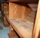 Vintage Country Store/seed Display Case Counter 1900-1950 photo 5