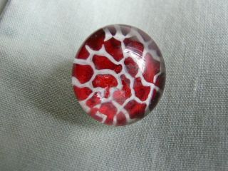 Unique Antique Glass Button On Tinned Base - Red Alligator Set - Up photo