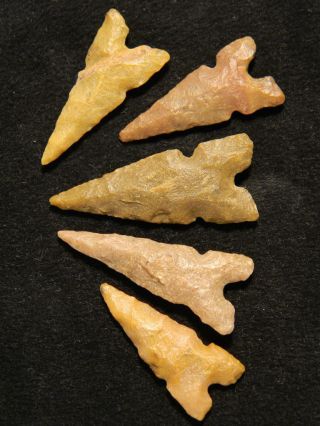 Of Five G - 8 Ancient Arrowheads Or Points photo