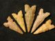 Of Five G - 8 Ancient Arrowheads Or Points Neolithic & Paleolithic photo 2