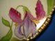 Antique Art Nouveau Porcelain Cake Plate Prussia Hand Painted Irises Gilt Signed Art Nouveau photo 11